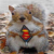 *upersquirrel agony aunt