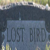 lostbird agony aunt