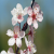 loveflower agony aunt