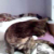 sophie-cat agony aunt