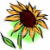 SunFlowerz agony aunt