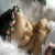 littlebaby agony aunt