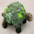 cactus87 agony aunt