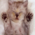 SweetVixen40 agony aunt