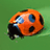 megbug31 agony aunt