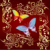 Butterflyx agony aunt