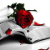 ForeverGoddess agony aunt
