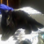 blackcatsz333 agony aunt