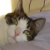 KittenSocks agony aunt